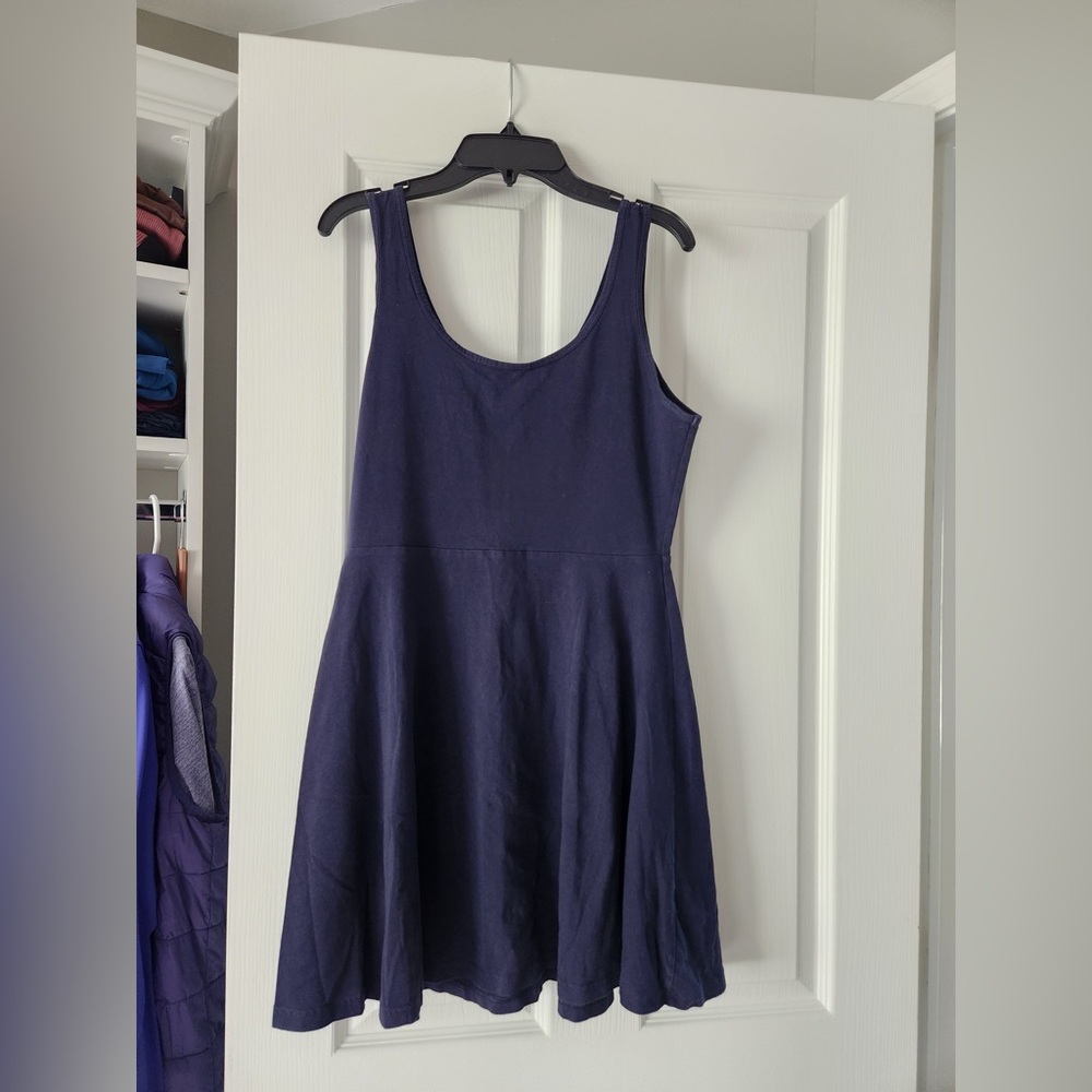 Express Blue Skater Sleeveless Dress